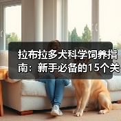 拉布拉多犬科学饲养指南：新手必备的15个关键点(图4)