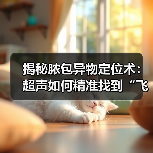 揭秘脓包异物定位术：超声如何精准找到“飞来”异物 - 辰飞雨新生家伴