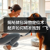 揭秘脓包异物定位术：超声如何精准找到“飞来”异物(图3)