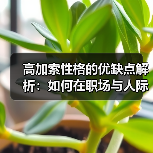 高加索性格的优缺点解析：如何在职场与人际