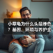 小草龟为什么头是绿色？基因、环境与养护全解析(图3)