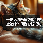 一例犬跳蚤皮炎如何彻底治疗？病例分析揭秘(图3)