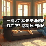 一例犬跳蚤皮炎如何彻底治疗？病例分析揭秘(图4)