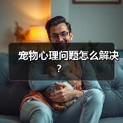 宠物心理问题怎么解决？(图2)