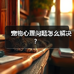 宠物心理问题怎么解决？(图3)