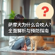 萨摩犬为什么会咬人？全面解析与预防指南(图4)