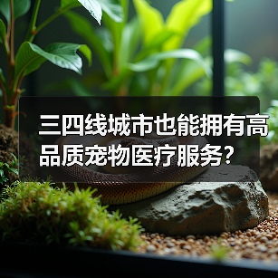 三四线城市也能拥有高品质宠物医疗服务？ - 辰飞雨新生家伴