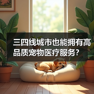 三四线城市也能拥有高品质宠物医疗服务？(图4)