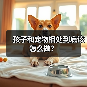孩子和宠物相处到底该怎么做？(图3)