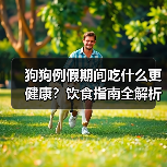 狗狗例假期间吃什么更健康？饮食指南全解析 - 辰飞雨新生家伴