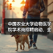 中国农业大学动物医学院学术岗招聘启动，全健康共守护如何展开？(图1)