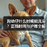 狗幼仔什么时候能洗澡？正确时间与护理全解析(图2)