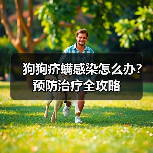狗狗疥螨感染怎么办？预防治疗全攻略(图1)
