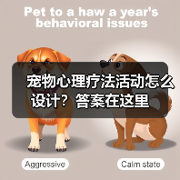 宠物心理疗法活动怎么设计？答案在这里(图2)
