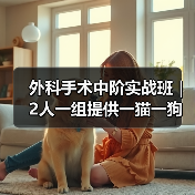 外科手术中阶实战班｜2人一组提供一猫一狗，实操机会多到爆！(图1)