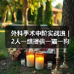 外科手术中阶实战班｜2人一组提供一猫一狗，实操机会多到爆！(图4)