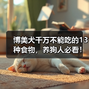 博美犬千万不能吃的13种食物，养狗人必看！(图2)