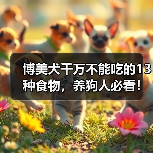 博美犬千万不能吃的13种食物，养狗人必看！(图3)