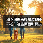 猫咪困得直打哈欠却睡不着？这些原因和解决