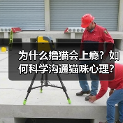 为什么撸猫会上瘾?如何科学沟通猫咪心理?(图2) 为什么撸猫会上瘾?如何科学沟通猫咪心理?(图2)