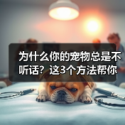 为什么你的宠物总是不听话?这3个方法帮你解决(图2) 为什么你的宠物总是不听话?这3个方法帮你解决(图2)
