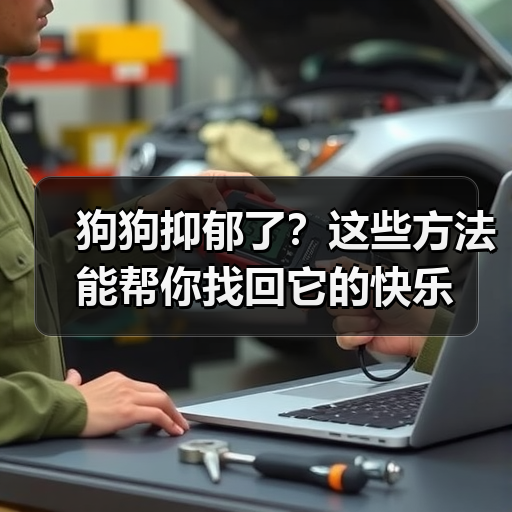 狗狗抑郁了？这些方法能帮你找回它的快乐(图3)