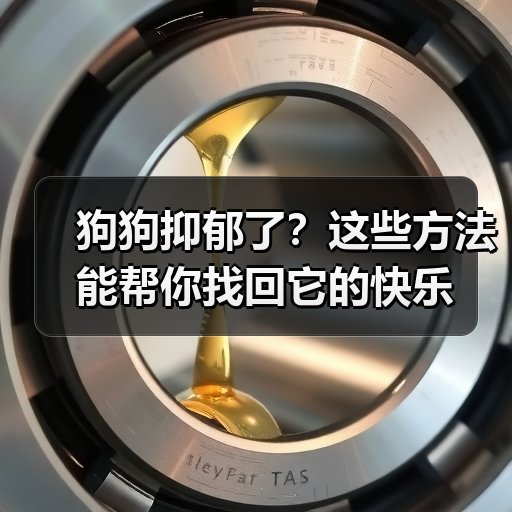 狗狗抑郁了？这些方法能帮你找回它的快乐(图4)