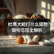 杜高犬能打什么猎物？猎物范围全解析(图2)