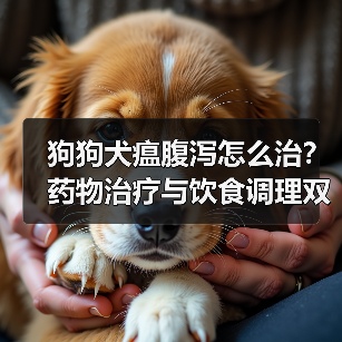 狗狗犬瘟腹泻怎么治？药物治疗与饮食调理双管齐下(图2)
