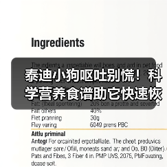 泰迪小狗呕吐别慌！科学营养食谱助它快速恢复(图2)