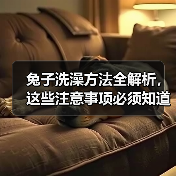 兔子洗澡方法全解析，这些注意事项必须知道！(图4)