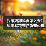我家猫狗抢食怎么办？科学解决宠物争宠心理问题(图2)