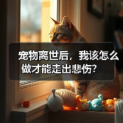 宠物离世后,我该怎么做才能走出悲伤?(图3) 宠物离世后,我该怎么做才能走出悲伤?(图3)