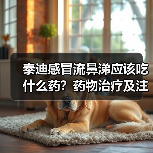 泰迪感冒流鼻涕应该吃什么药？药物治疗及注意事项全解析(图1)
