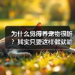 为什么觉得养宠物很脏？其实只要这样做就能改变(图2)