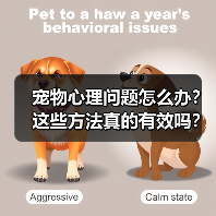 宠物心理问题怎么办？这些方法真的有效吗？(图1)