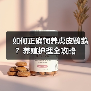 如何正确饲养虎皮鹦鹉?养殖护理全攻略(图2) 如何正确饲养虎皮鹦鹉?养殖护理全攻略(图2)