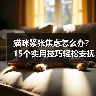 猫咪紧张焦虑怎么办?15个实用技巧轻松安抚(图3) 猫咪紧张焦虑怎么办?15个实用技巧轻松安抚(图3)