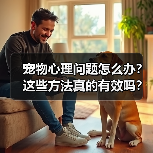宠物心理问题怎么办？这些方法真的有效吗？(图3)