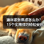猫咪紧张焦虑怎么办?15个实用技巧轻松安抚(图4) 猫咪紧张焦虑怎么办?15个实用技巧轻松安抚(图4)