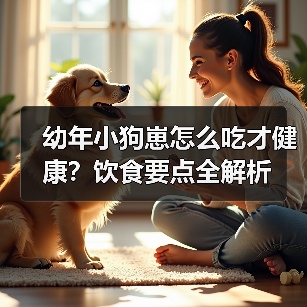 幼年小狗崽怎么吃才健康？饮食要点全解析(图1)