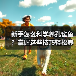 新手怎么科学养孔雀鱼？掌握这些技巧轻松养出健康鱼群(图2)