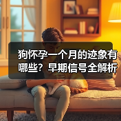 狗怀孕一个月的迹象有哪些？早期信号全解析(图3)