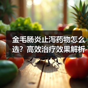 金毛肠炎止泻药物怎么选？高效治疗效果解析(图2)