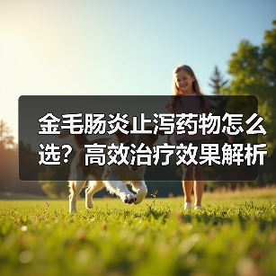 金毛肠炎止泻药物怎么选？高效治疗效果解析(图4)