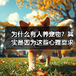为什么有人养宠物？其实是因为这些心理需求(图1)