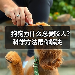 狗狗为什么总爱咬人？科学方法帮你解决 - 辰飞雨新生家伴