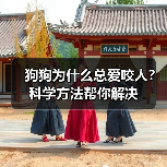狗狗为什么总爱咬人？科学方法帮你解决(图1)