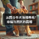 法国斗牛犬值得养吗？幸福与困扰的真相(图1)