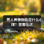 男人养宠物狗是什么心理？答案在这(图4)